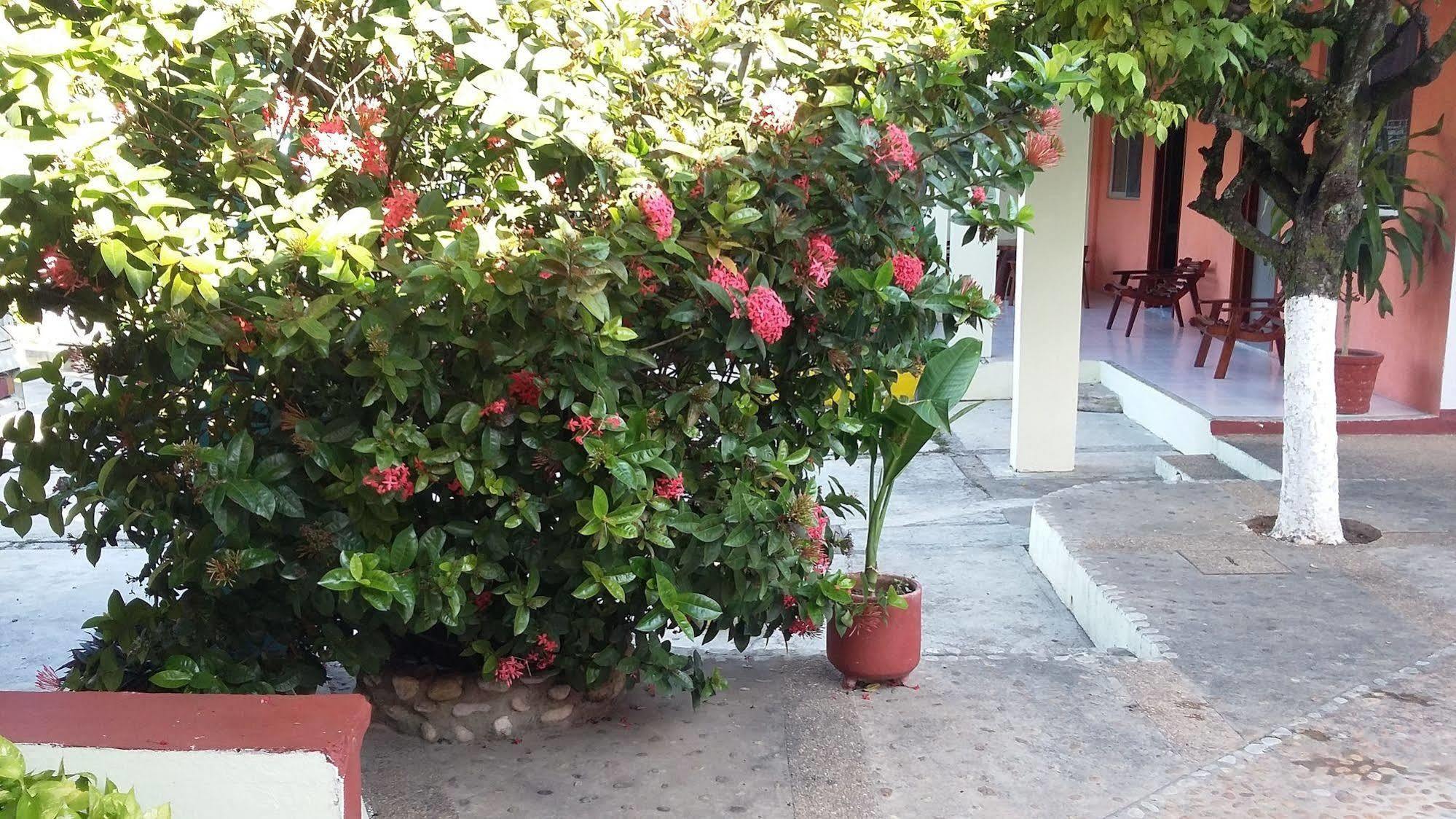 Hotel Mallorca Palenque Extérieur photo